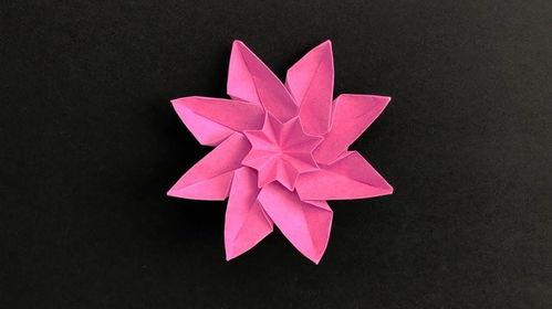 手工折纸花视频,跟随视频轻松制作精美花朵