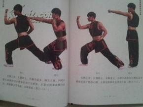 八卦拳视频,探寻古老拳术的奥秘与魅力