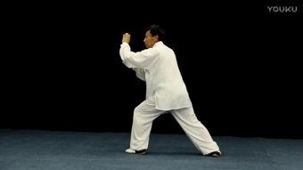 八卦拳视频,探寻古老拳术的奥秘与魅力
