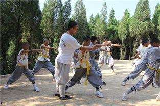 少林武术视频,一招一式展现中华武魂