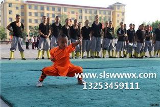 少林武术视频,一招一式展现中华武魂