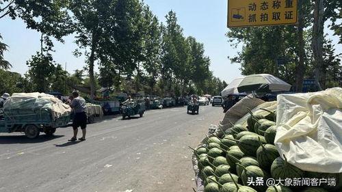 韩寺镇小吊瓜今日行情,今日行情火爆，瓜农笑开颜”