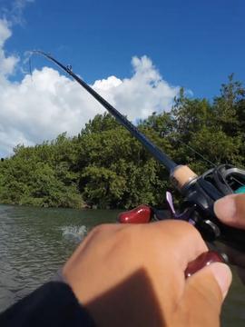 钓路亚视频,跟随视频学钓技，轻松捕获大鱼