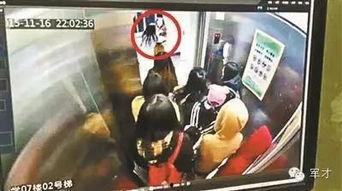 学武功视频,跟随视频学武功，轻松掌握绝世招式