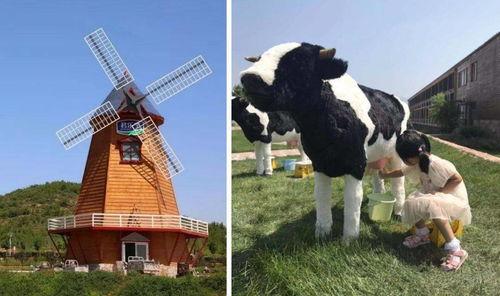 小奶牛视频,小奶牛的欢乐冒险之旅