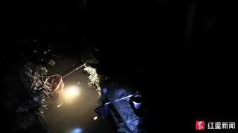 网鱼视频,揭秘网络世界的精彩瞬间