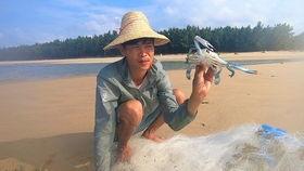 网鱼视频,揭秘网络世界的精彩瞬间