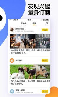 好视频网站,揭秘好视频网站的魅力与特色