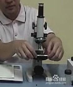 显微镜操作视频,轻松掌握显微镜使用技巧