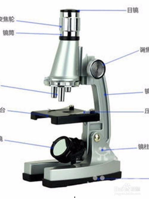 显微镜操作视频,轻松掌握显微镜使用技巧
