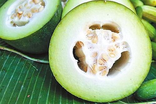 黑工吃瓜,揭秘幕后真相与行业乱象