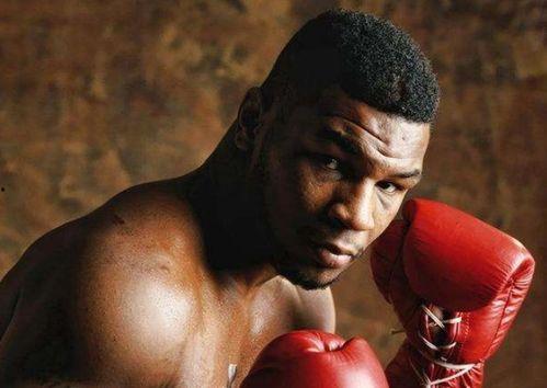 泰森比赛视频,力量与技巧的完美对决