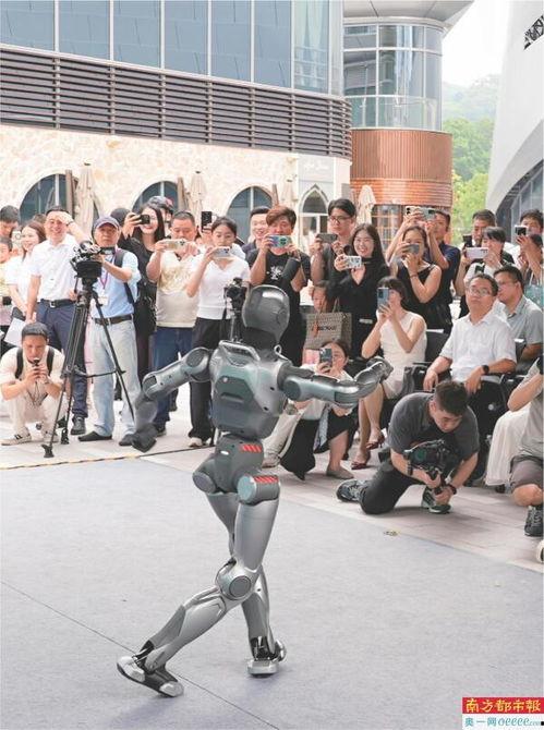 机器人表演视频,智能舞者演绎未来科技风采