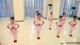 基础舞蹈视频,轻松掌握舞步魅力