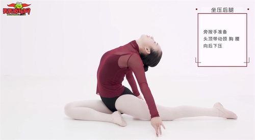 基础舞蹈视频,轻松掌握舞步魅力