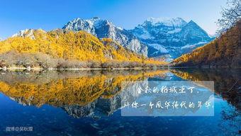 稻城亚丁视频,探寻人间仙境的绝美画卷