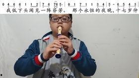 竖笛教程视频