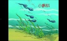 窝蝌蚪视频,揭秘萌宠成长记