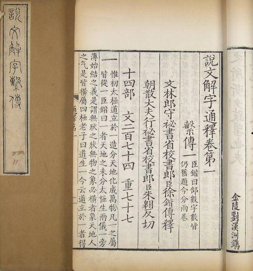 说文解字视频,汉字起源与演变的文化探秘