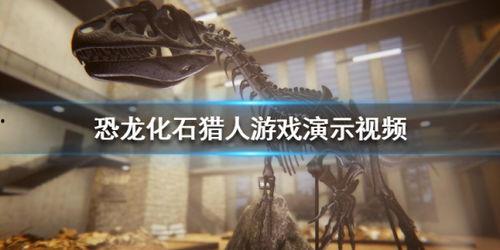 恐龙化石视频,恐龙化石的奥秘之旅