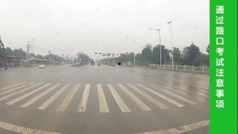 科目三路考视频,真实还原驾考过程，揭秘考试技巧与注意事项