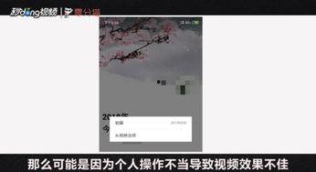 微信拍视频模糊,微信视频中的生活瞬间