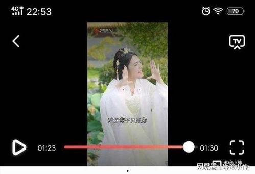 一生一世视频,爱情永恒的旋律