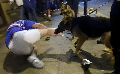 被狗咬了视频,街头偶遇恶犬咬人，紧急时刻见证人性光辉