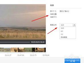 视频大小裁剪,揭秘海量视频中的核心内容