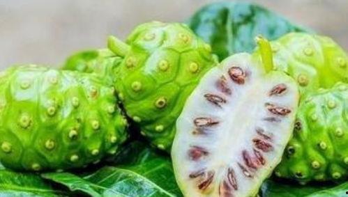 黑料吃黑瓜网怎么进苹果