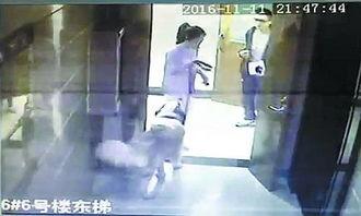 康先生视频,揭秘生活智慧与人生哲理