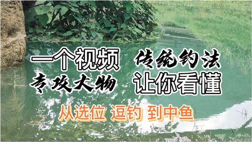 逗钓视频,揭秘钓鱼技巧与乐趣