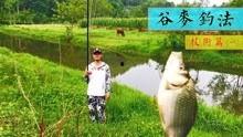 逗钓视频,揭秘钓鱼技巧与乐趣