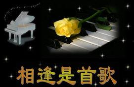 相逢是首歌 视频