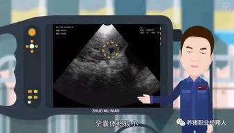 b超视频,胎儿成长轨迹全记录