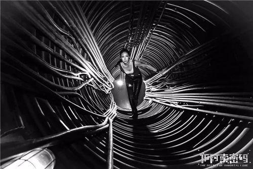 新视觉视觉视频,探索视觉艺术的新境界