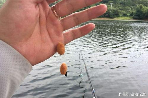 开搓饵视频,教你轻松掌握钓鱼饵料制作技巧