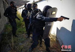 特警反恐演练视频,实战化训练筑牢安全防线