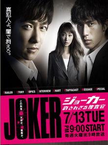 搜查官视频,案件侦破背后的真相与挑战