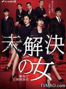 搜查官视频,案件侦破背后的真相与挑战