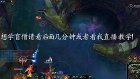 盲僧视频教学,轻松掌握英雄技巧与战术