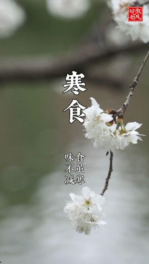 寒食视频,穿越时空的温情记忆