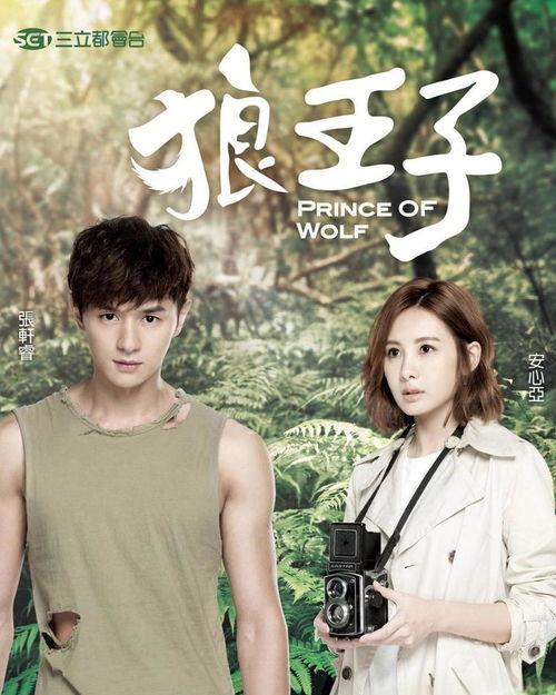 狼王子视频,野性呼唤与王者归来