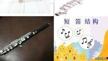 短笛视频,探寻音乐与生活的和谐共鸣