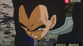 短笛视频,探寻音乐与生活的和谐共鸣